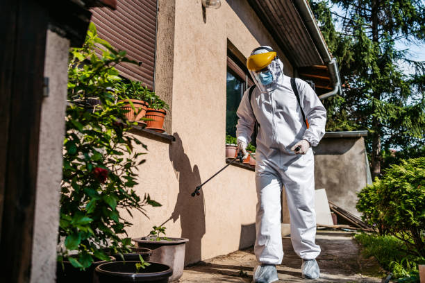 Best Pest Prevention Services  in Kaser, NY