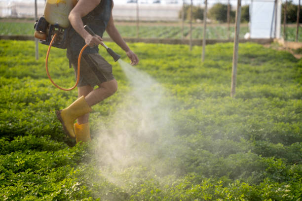 Best Pest Control for Restaurants  in Kaser, NY