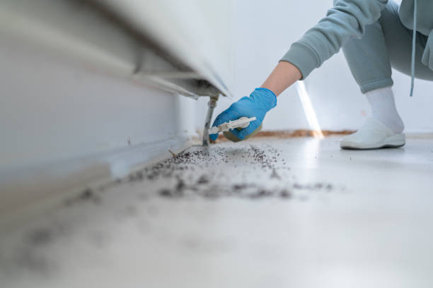 Best Residential Pest Control  in Kaser, NY